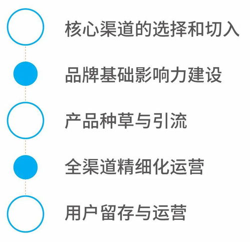 好产品互联网营销攻略 从品质到流量的全方位打法